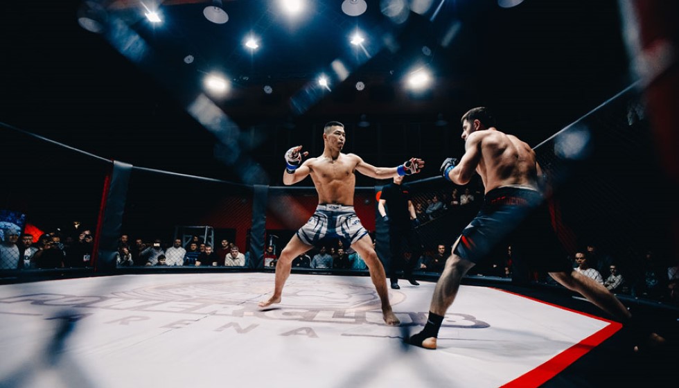 Dublin High Court Decision: A Significant Verdict for Nikita Hand